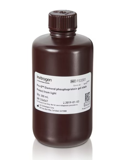 Pro-Q™ Diamond Phosphoprotein Gel Stain